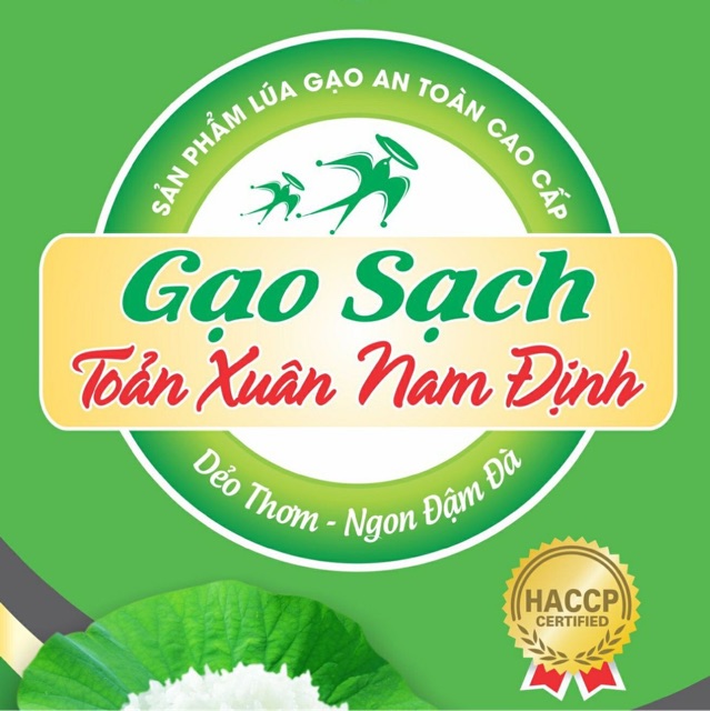 GẠO SẠCH TOẢN XUÂN NAM ĐỊNH