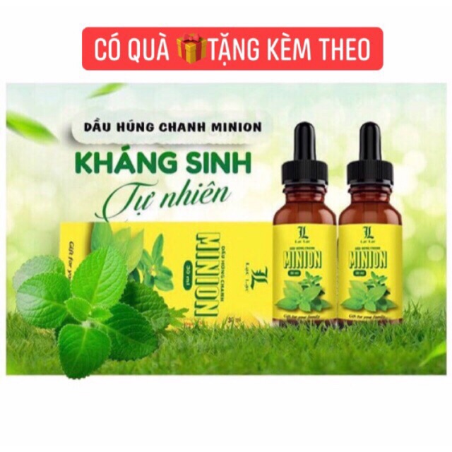 Dầu húng chanh minion