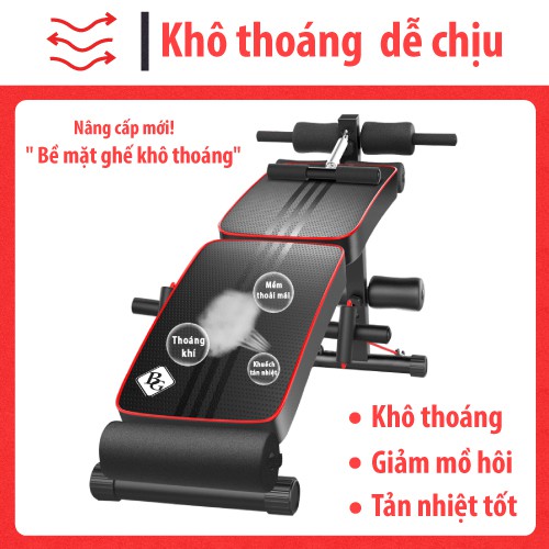 BG Ghế tập bụng cong muse mẫu SU119 cao cấp Thái Lan