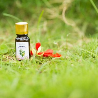 Tinh dầu Tràm Trà