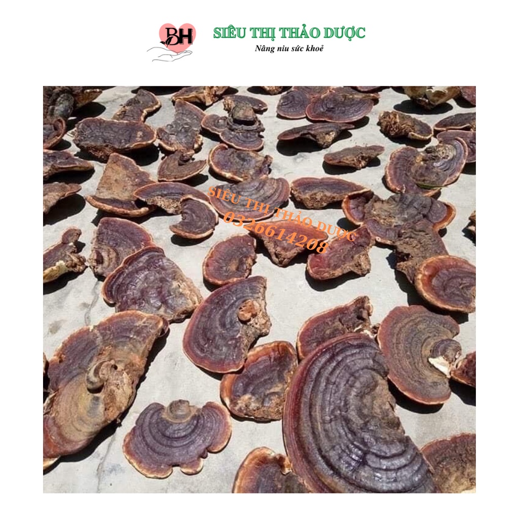 Nấm hồng chi ( nấm linh chi )chuẩn rừng loại to nguyên tai và thái lát tốt cho tim,hỗ trợ huyết áp,gout,tốt cho sức khoẻ