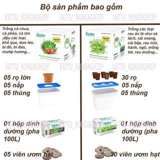Bộ 10 thùng Thủy canh rau ăn trái và ăn lá