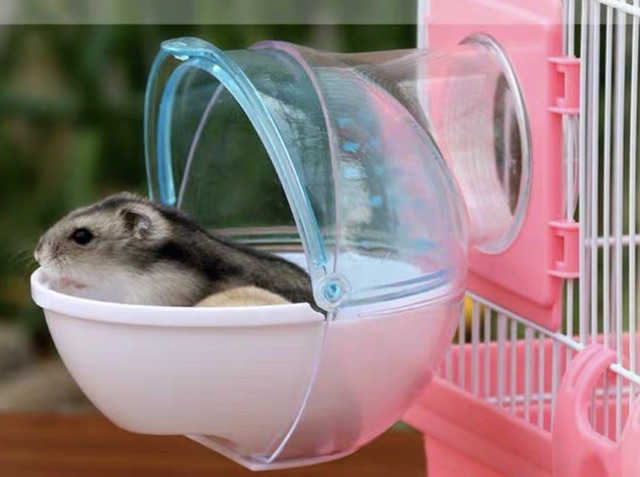 Cửa chui gắn lồng, cửa chui kèm vòng co, đồ chơi cho hamster