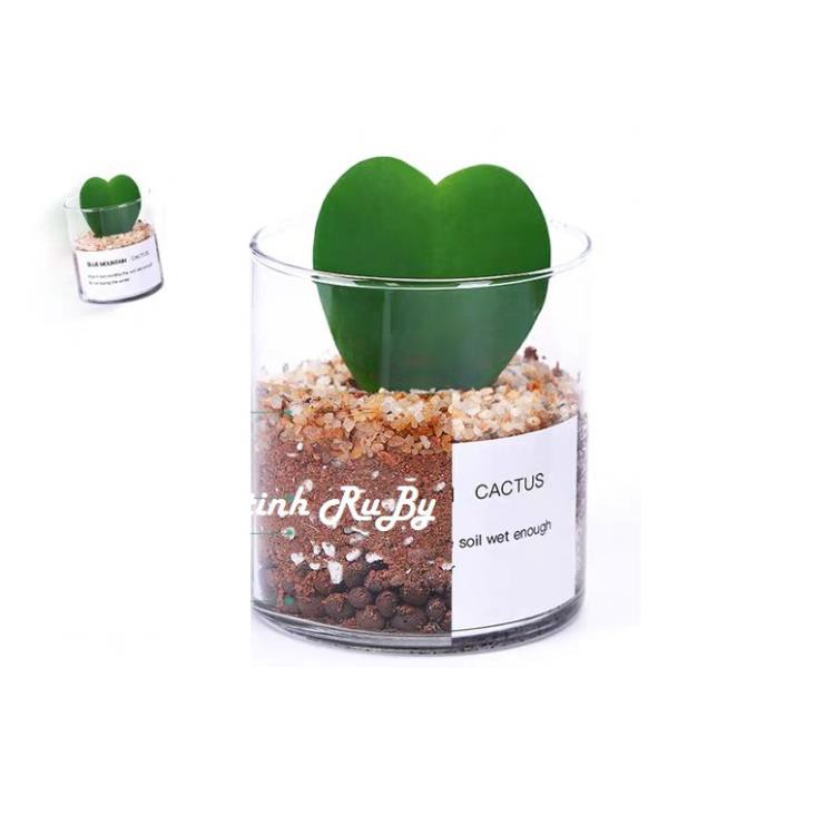 Bình Bông Lọ Hoa Trang Trí Trụ Tròn 10X10, Bình Cắm Hoa, Lọ Hoa Thủy Tinh Trụ Tròn, Lọ Đèn Cầy