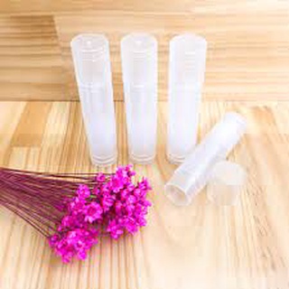 VỎ SON DƯỠNG MINI (TRONG)