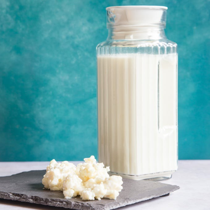 Nấm sữa lên men Kefir Milk Nấm làm sữa chua Kefir Milk thực phẩm organic Kefir Milk | BigBuy360 - bigbuy360.vn