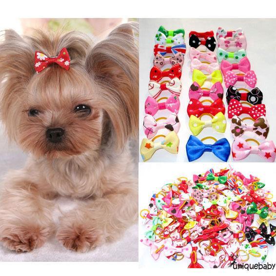 Set 20 dây nơ cột tóc trang trí thú cưng dễ thương