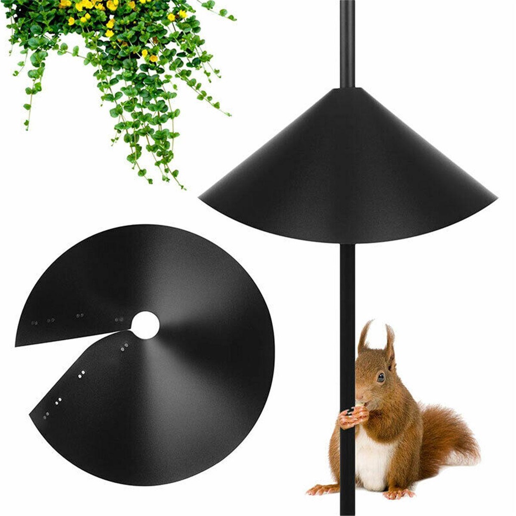 Dụng Cụ Cho Chim Ăn 16 &quot;