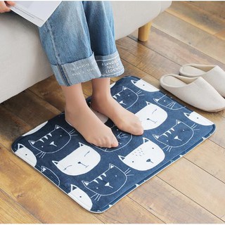 Thảm lau chân siêu bền .