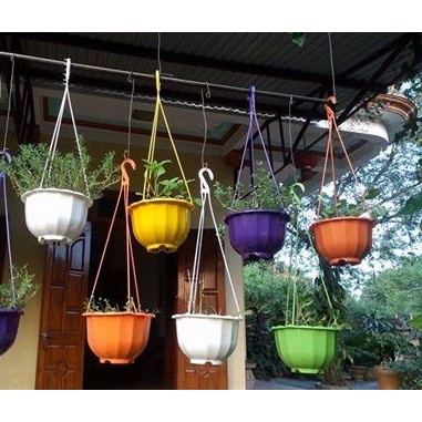 Combo_10 Chậu bí treo loại dày bóng 22x14cm hàng chuẩn công ty nhiều màu