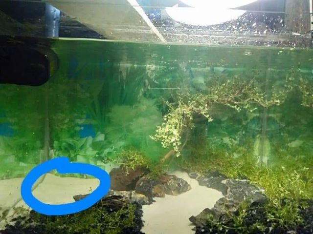 Thác cát cho bể cá mini kèm máy