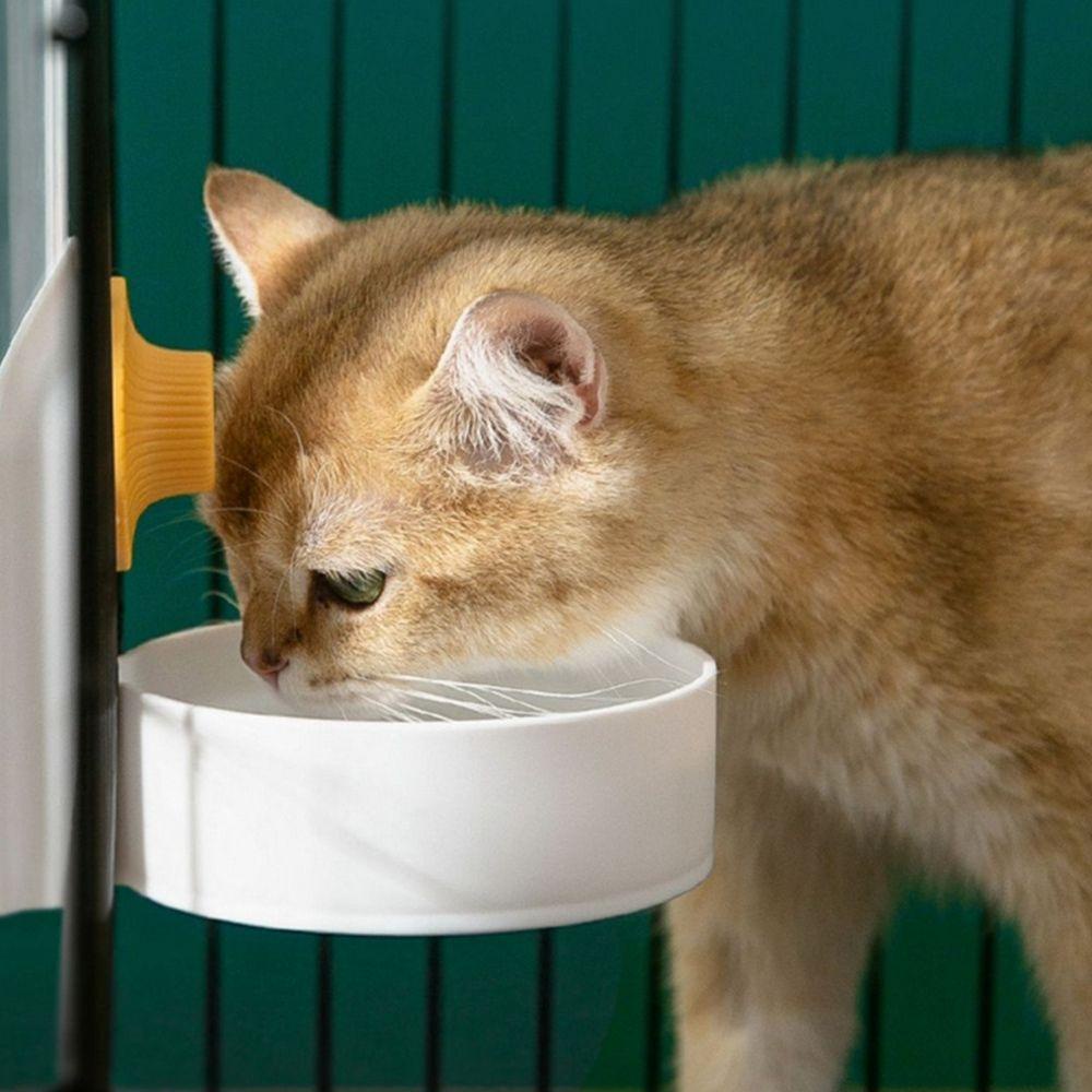 Máy Cho Thú Cưng Uống Nước Tự Động Tiện Dụng