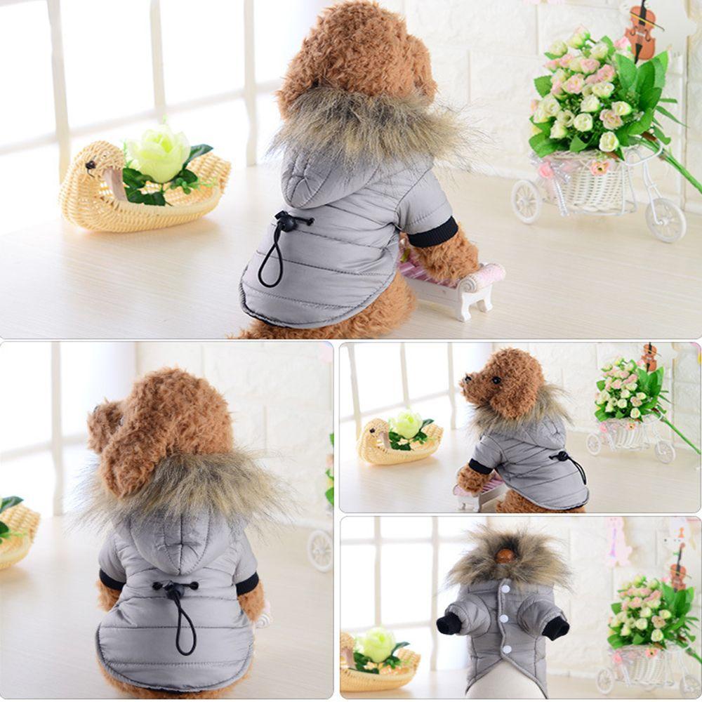 Áo Khoác Có Mũ Trùm In Hình Chó Chihuahua Dễ Thương Cho Thú Cưng