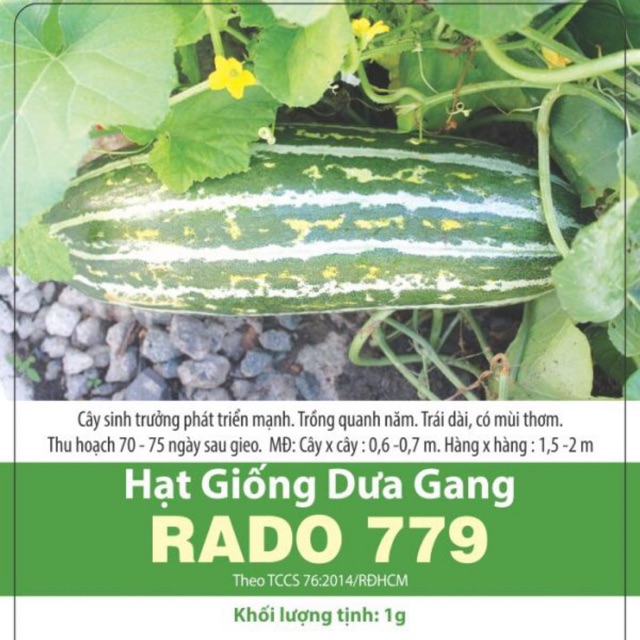 Hạt Giống Dưa Gang 779 (45 hạt)