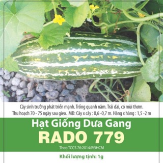 Hạt giống dưa gang 779
