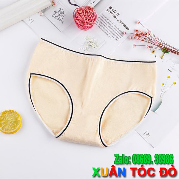  SỈ ZALO RẺ HƠN NHIỀU_ Quần Lót Cotton Nhiều Màu Viền Kẻ Mới Siêu Đẹp H013 | BigBuy360 - bigbuy360.vn