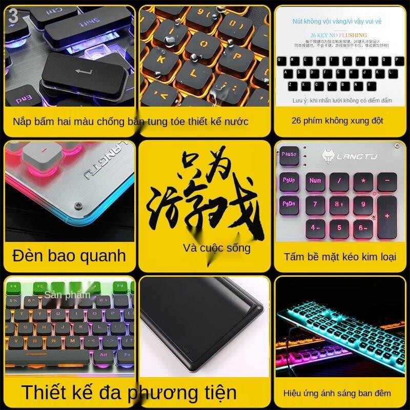 ✻Bộ bàn phím và chuột Người điều khiển im lặng Cảm thấy Trò chơi thể thao điện tử Ăn gà Tạo tác Máy tính Phụ ng | BigBuy360 - bigbuy360.vn