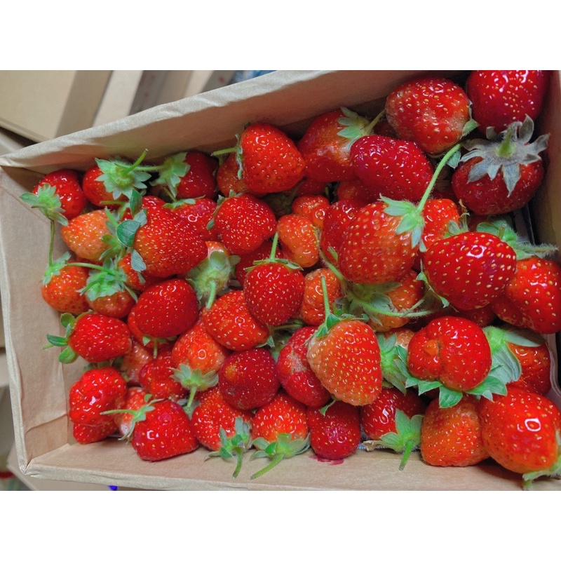 DÂU TÂY SIZE BI HỘP 1KG