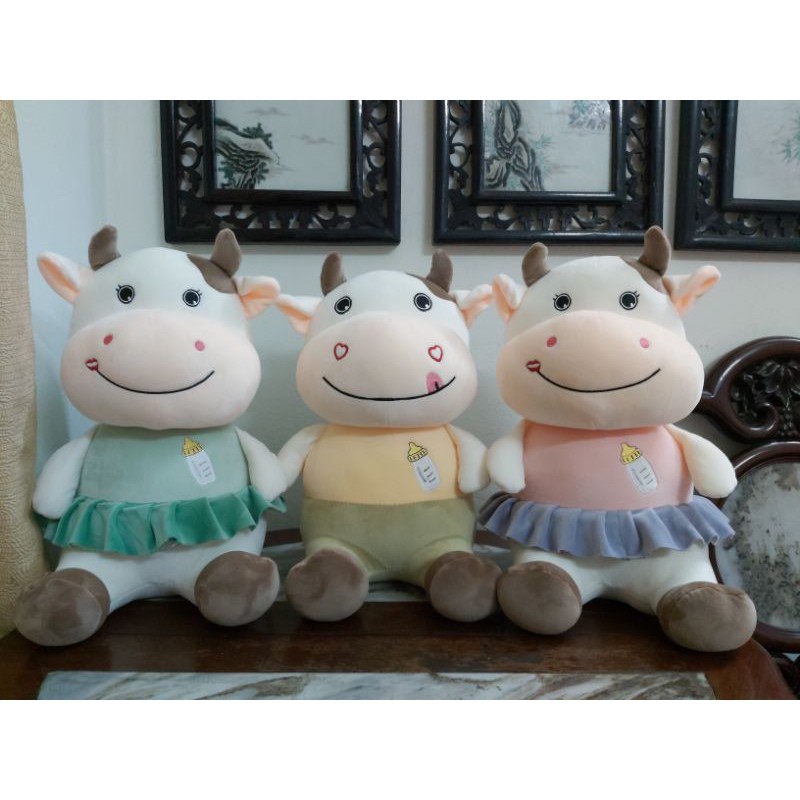 Trâu mặc áo bình sữa