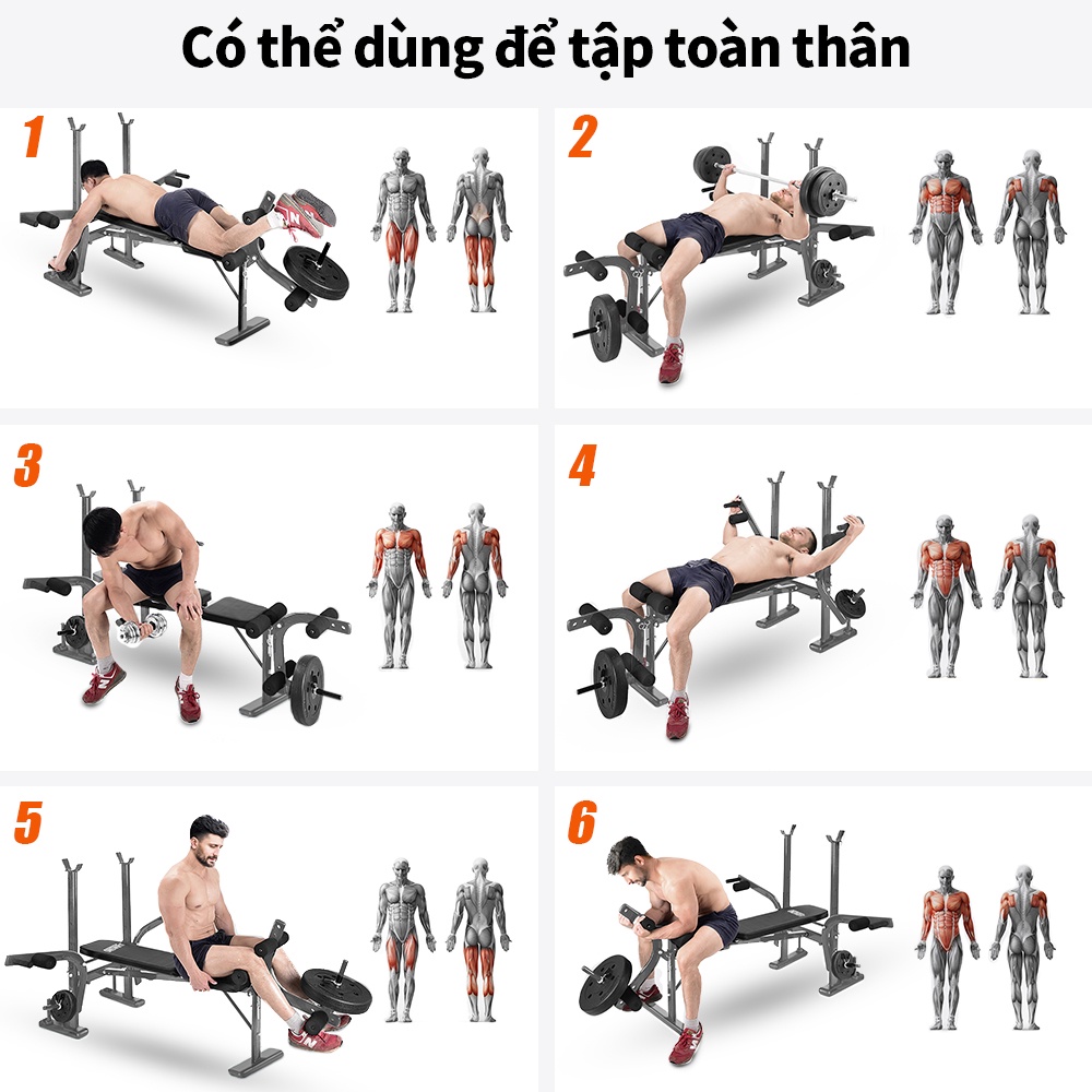 OneTwoFit 6 trong 1 Bài tập ngồi lên ghế tập tạ đa chức năng Với ​​Giá treo tạ tập tại nhà OT039Z