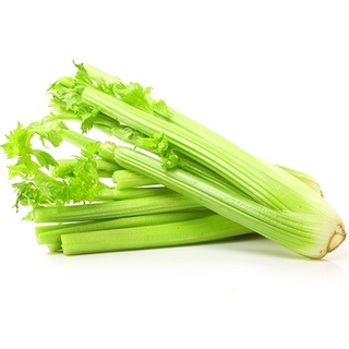 Hạt Giống Cần Tây Bẹ To (326) 2gr