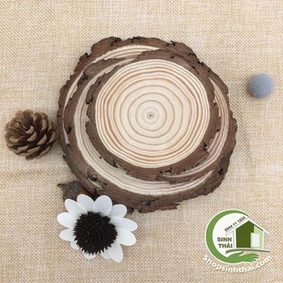 Miếng gỗ tròn - khoanh gỗ tròn trang trí  - gỗ thông tự nhiên - miếng nhỏ 8cm x dày 1,2cm