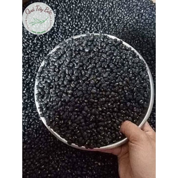 Đỗ đậu đen xanh lòng Vùng cao Yên Bái sạch thơm ngon 1kg | BigBuy360 - bigbuy360.vn