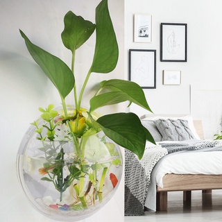 Bể Cá mini Treo Tường Trang Trí Nhà Cửa