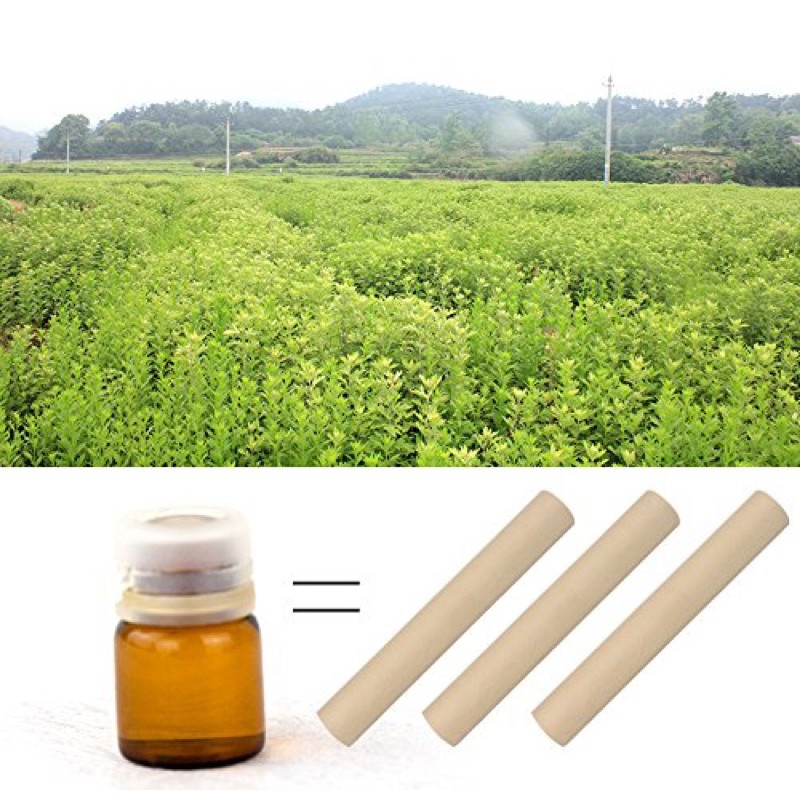 Miếng Dán Ngải Cứu Giúp Giảm Đau Xương Khớp