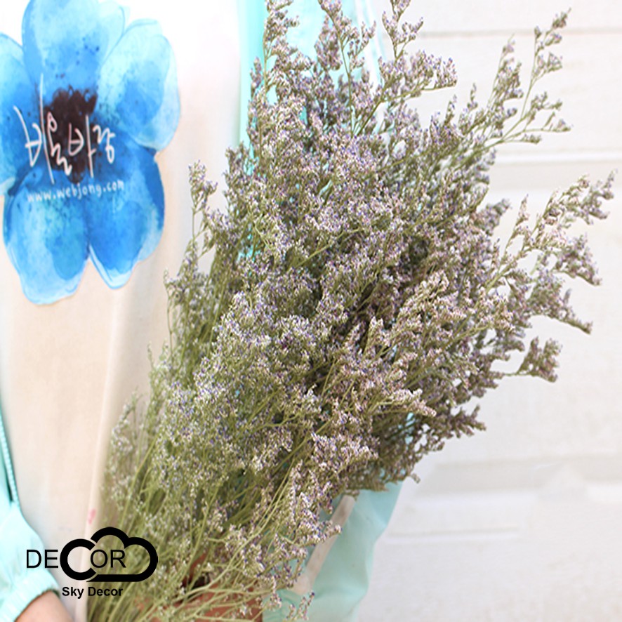 Hoa sao tím khô trang trí chụp ảnh, decor nhà cửa, cửa hàng