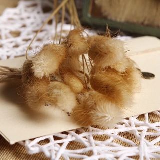 Combo đĩa muỗng. Vải linen