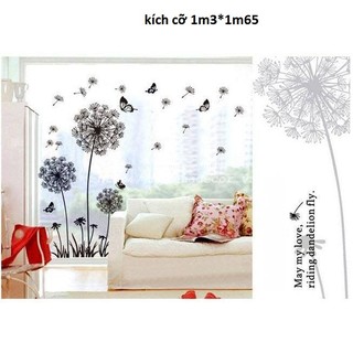 decal dán tường hoa bồ công anh