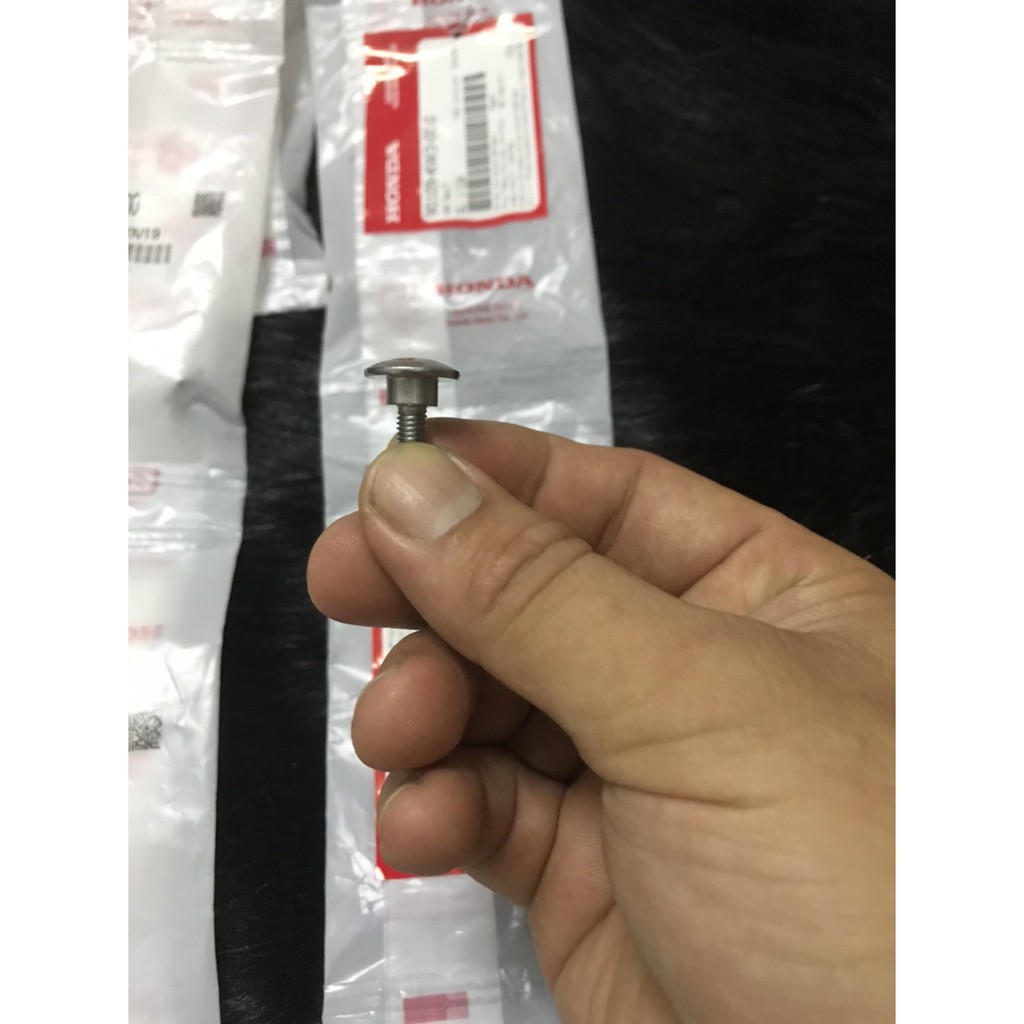 Ốc Bàn Thờ  Sh Ý 2006-2011