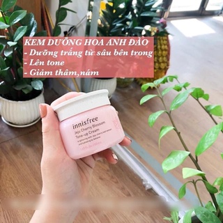 Kem dưỡng innisfree hoa anh đào