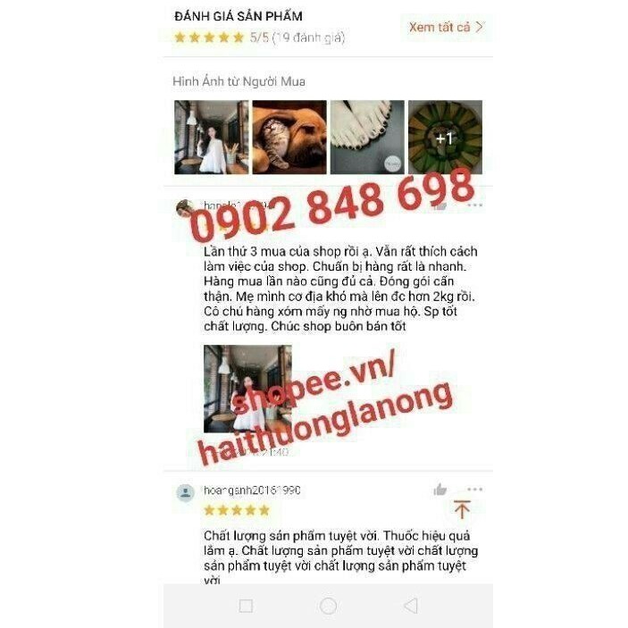 Seng yong wan -Sâm nhung hoàn (Tăng cân cho người gầy) | BigBuy360 - bigbuy360.vn