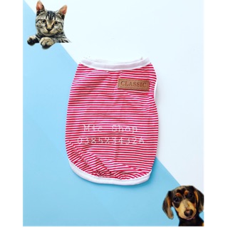❌ Áo cotton kẻ ngang Classic
