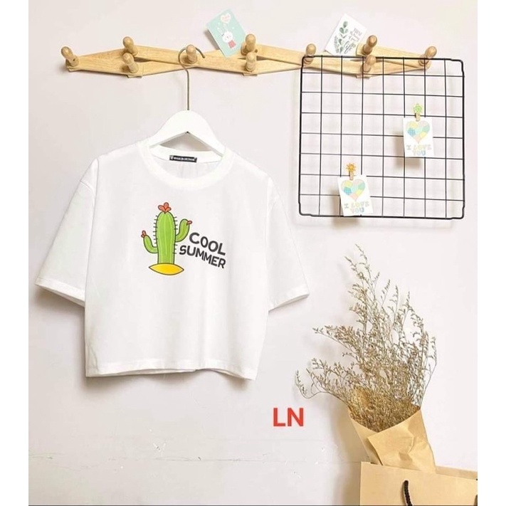 Áo croptop sương rồng Cool TH6