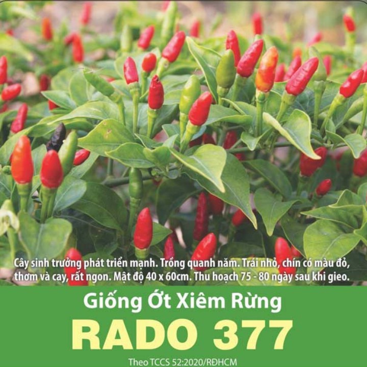 Hạt giống Ớt xiêm rừng gói 0,2gr