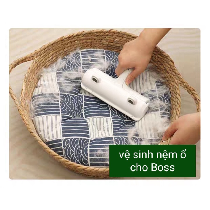 Combo Cây Lăn Lông Mèo Tĩnh Điện Không Thay Lõi - Siêu Tiết Kiệm Kèm Găng Tay Chải Lông Mèo