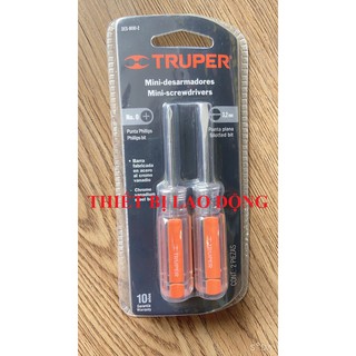 BỘ 2 TUA VÍT TRUPER 14199