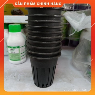 Combo 10 rọ trồng rau thủy canh