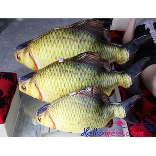 Cá chép bông việt nam 55cm
