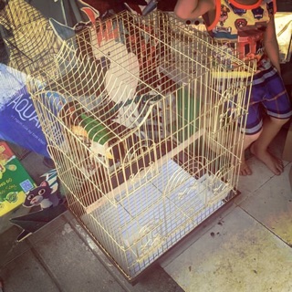 Lồng nuôi vẹt B3 Gold