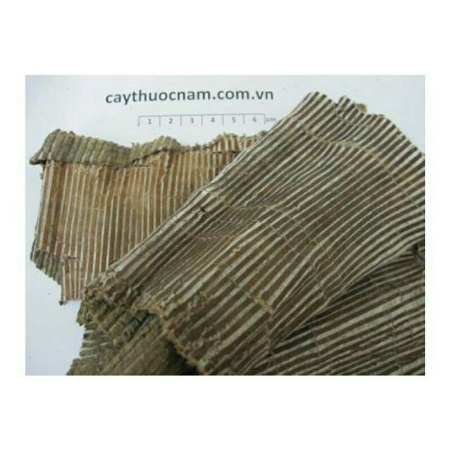 500g đỗ trọng