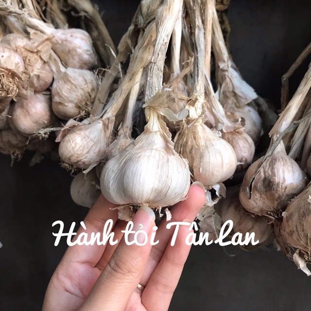 [Có sẵn] Hành khô - Tỏi khô - Kinh Môn Hải Dương | BigBuy360 - bigbuy360.vn