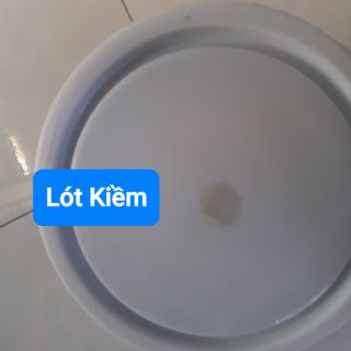 Sơn chậu lót kiềm lon 1kg + cọ quét