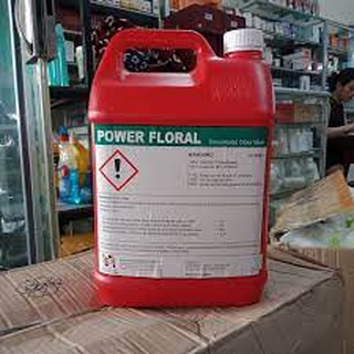 Nước lau sàn khử mùi diệt khuẩn power floral can 5l klenco singapore