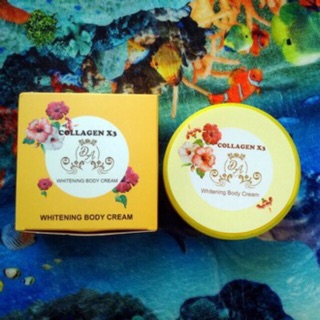 Combo 20 body collagen x3