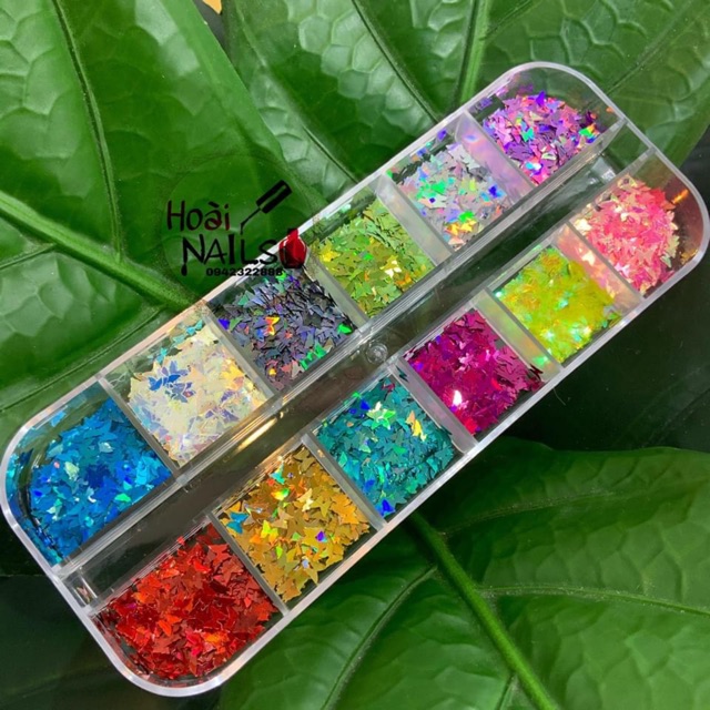 Set nhũ bướm 12 màu - phụ kiện nail giá rẻ