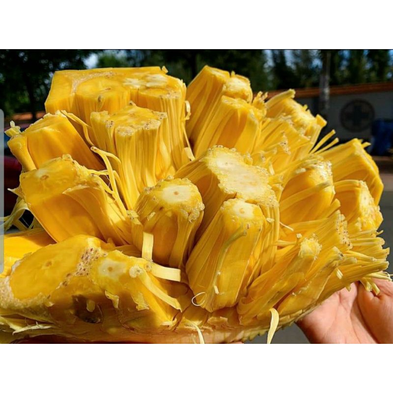(Giao hỏa tốc) Mít thái quê 25k/kg | BigBuy360 - bigbuy360.vn